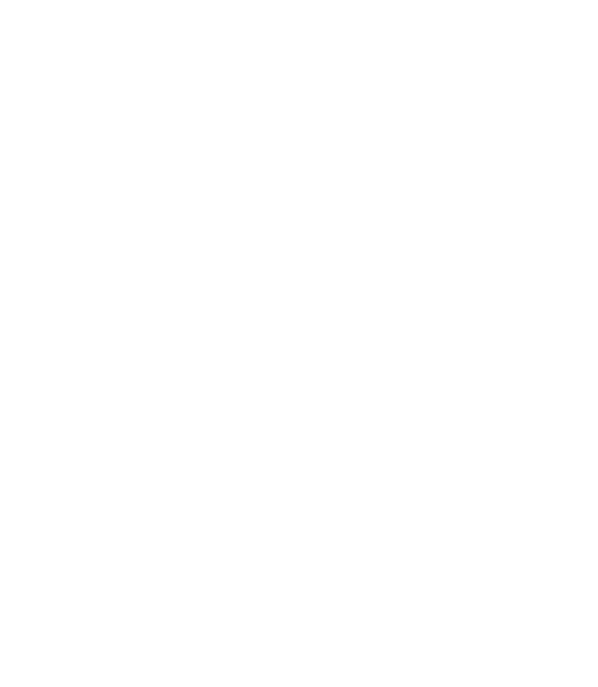 Berenta 18