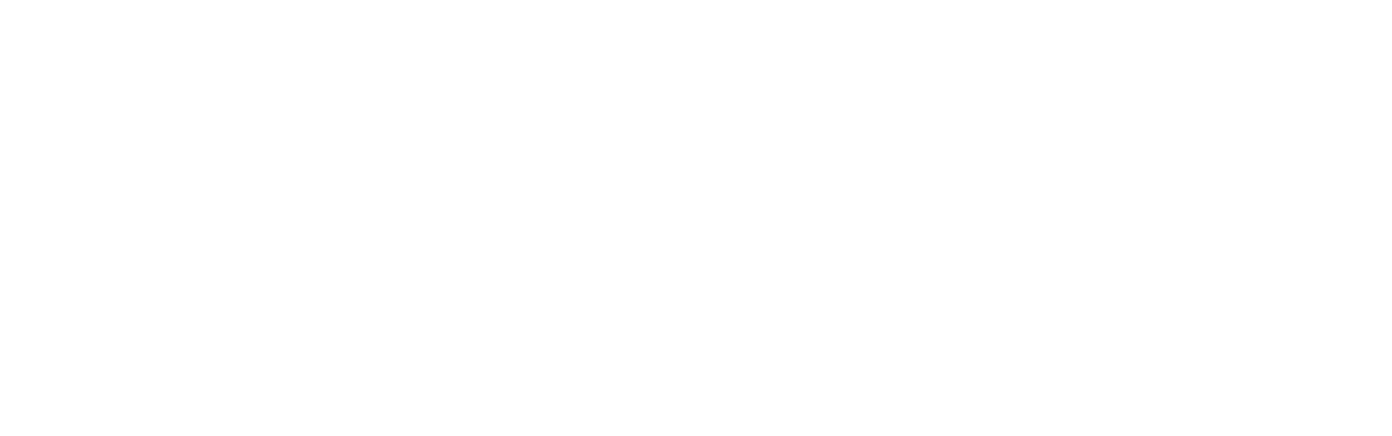 Berenta 18